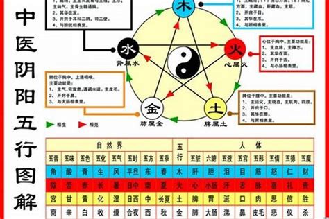 1984年五行缺什么|1984年属鼠五行缺什么 属木缺金命为海中金